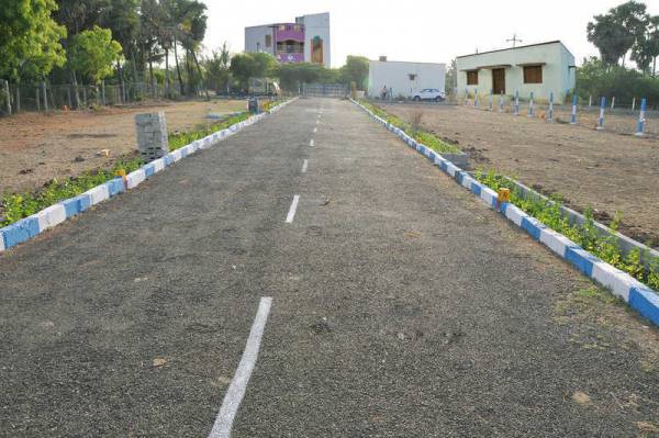  sai-green-field Plot