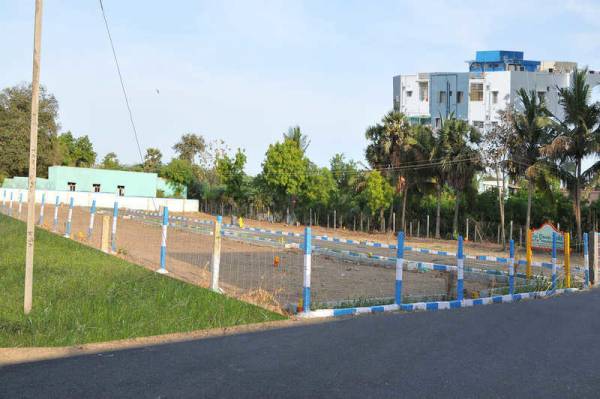  sai-green-field Plot