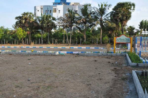  sai-green-field Plot