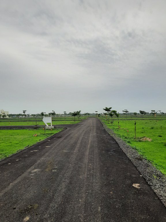 metrovaram Elevation