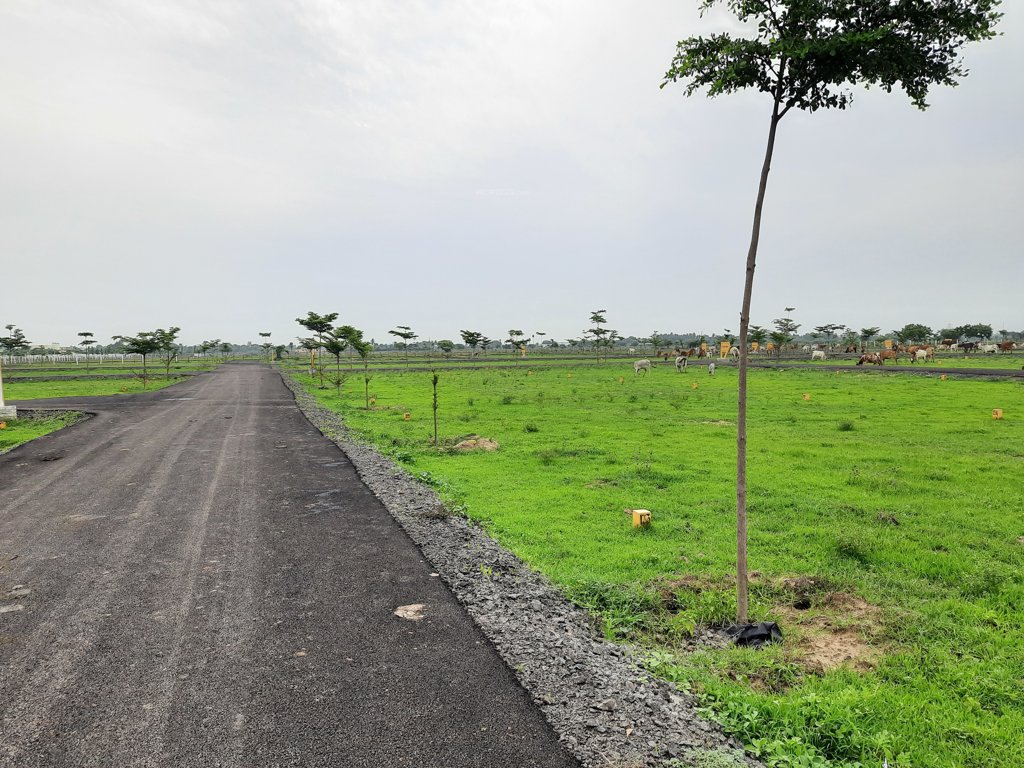 metrovaram Elevation