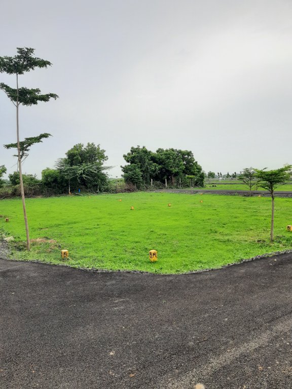 metrovaram Elevation