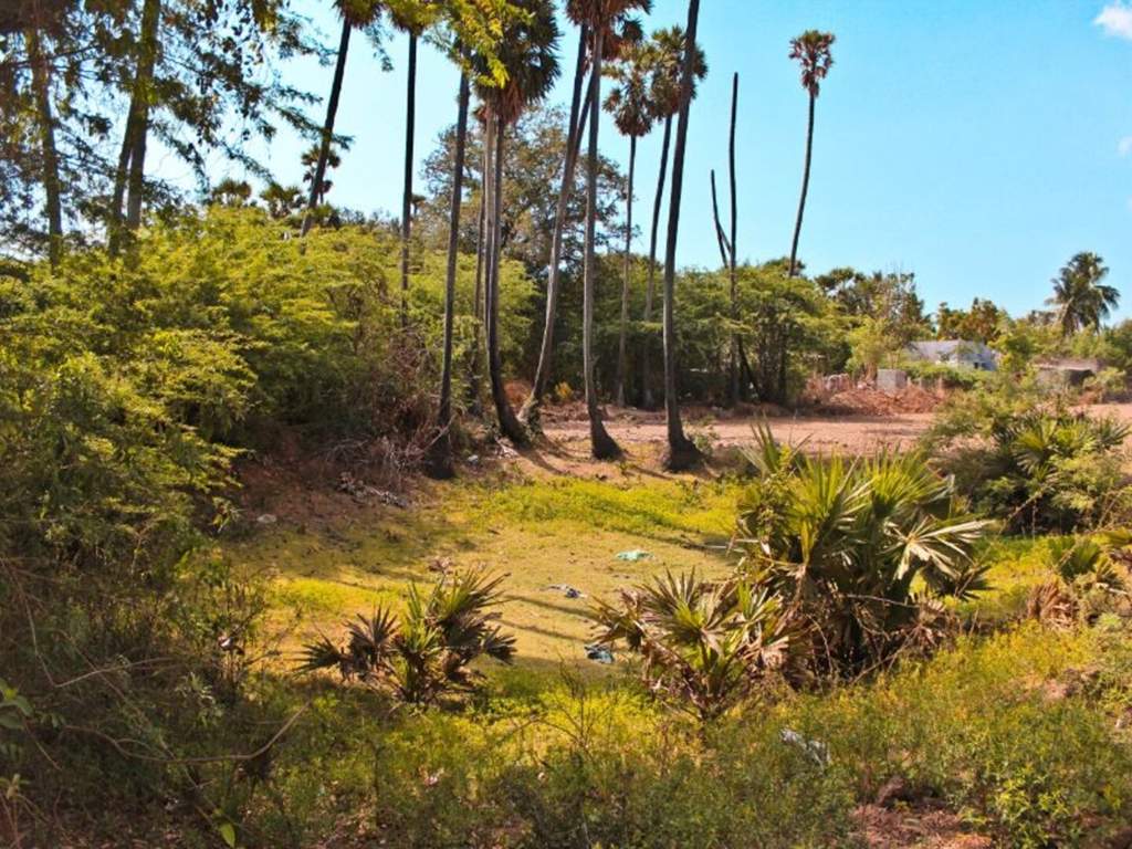 Images for Main Other of AM Lands And Property Developers Aurum Garden