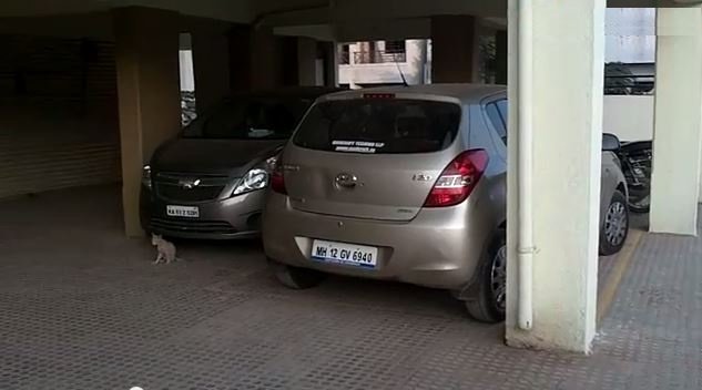 paradise Car Parking