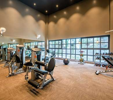 amar westview Gymnasium