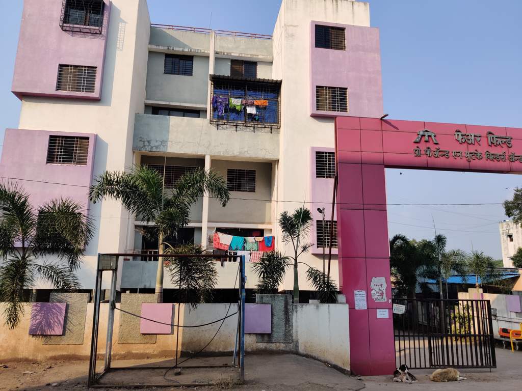  fair field Elevation