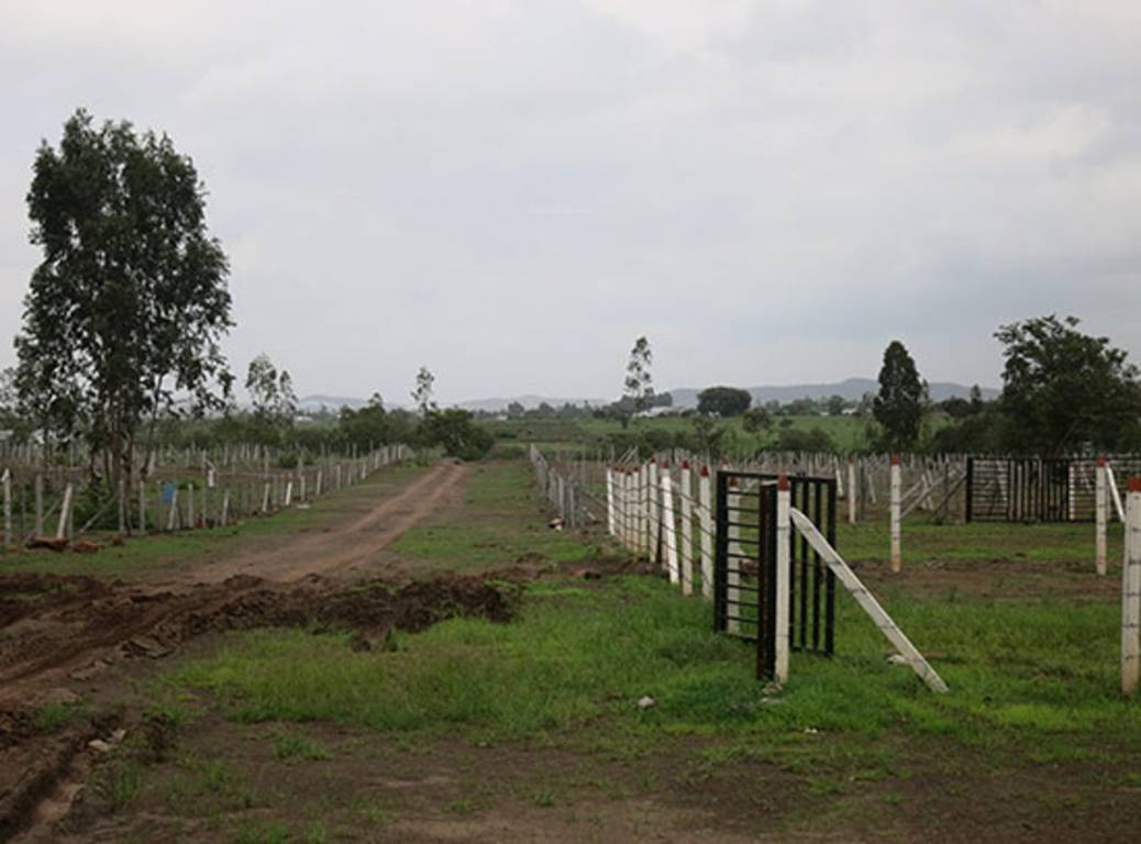 Images for Main Other of Landscapes Nisargsrishti