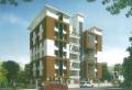 Palladium Properties Iris
