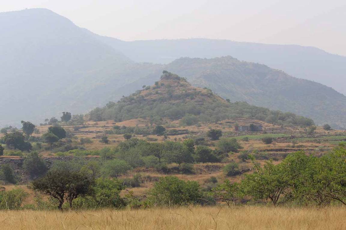 Images for Main Other of Synergy Stoneleigh Park