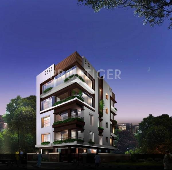 Images for Elevation of Orbit Blessings