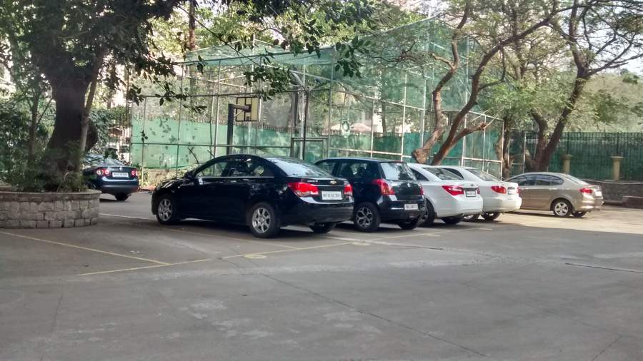  garden norita Others