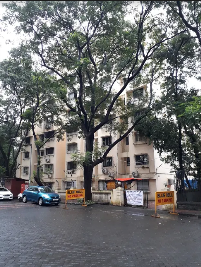 garden blue bell Elevation