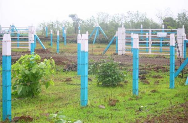 Images for Main Other of Mirador Oasis Estate