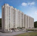 Elevation  zen-tamara Elevation