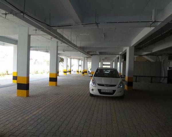 Car Parking divine-bliss Car Parking