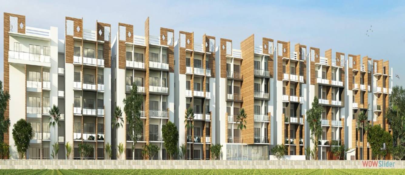 Images for Elevation of Platina Exotica