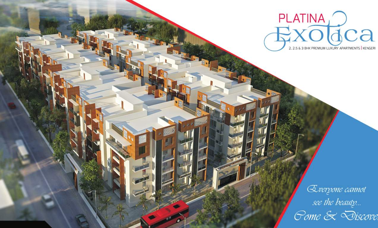  exotica Images for Elevation of Platina Exotica