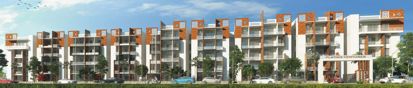  exotica Images for Elevation of Platina Exotica