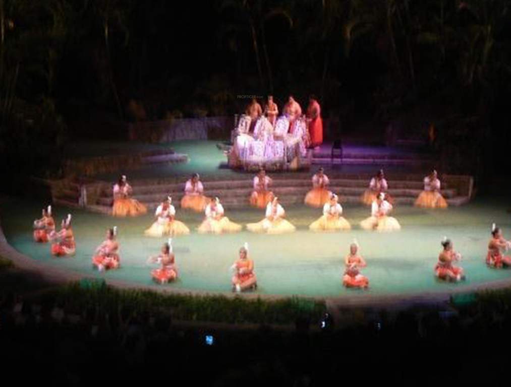  exotica Images for Amenities of Platina Exotica