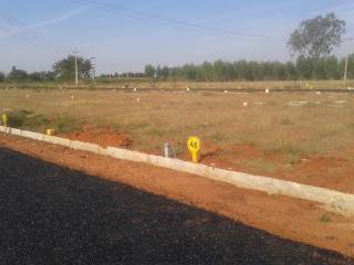 Project Image Project Image