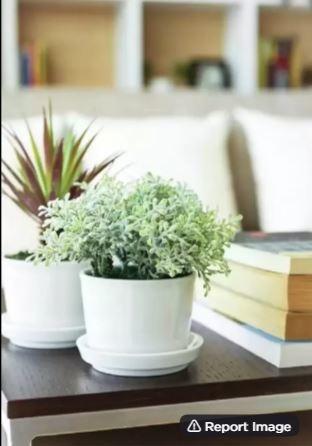  ranga-gokulam Others