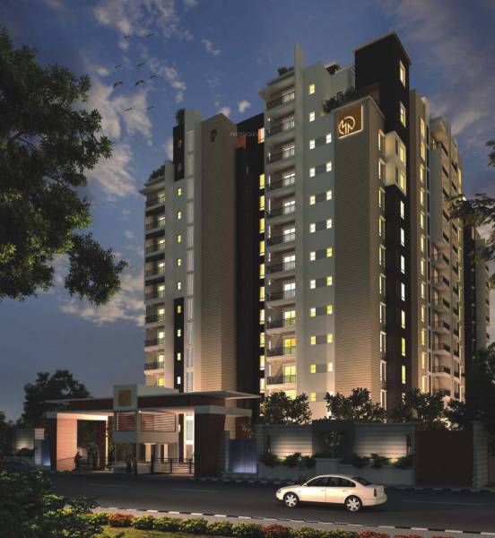 Elevation mn-orchid Elevation