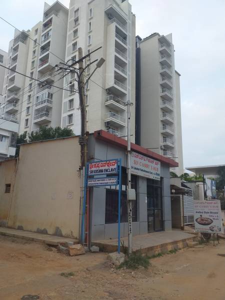 Elevation mn-orchid Elevation