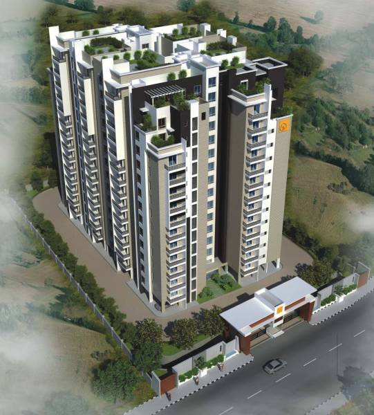 Elevation mn-orchid Elevation