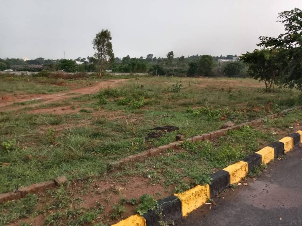 wood ridge pride Plot