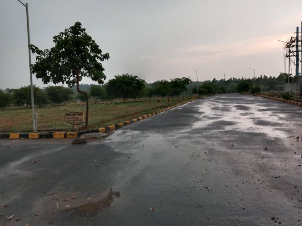 wood ridge pride Plot