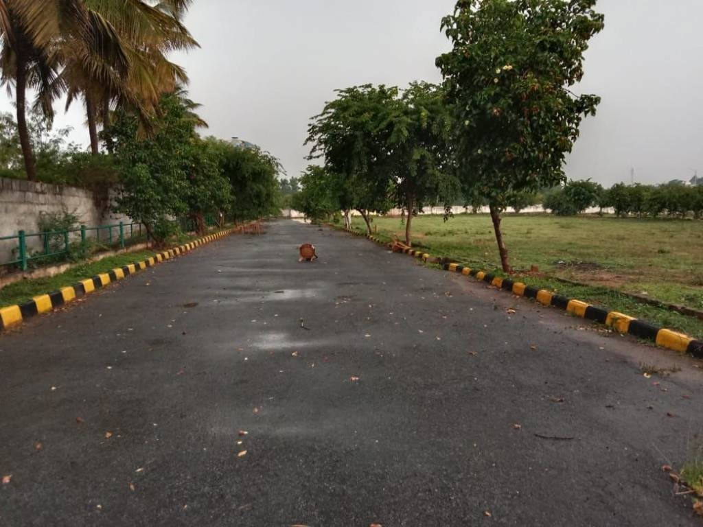 wood ridge pride Plot