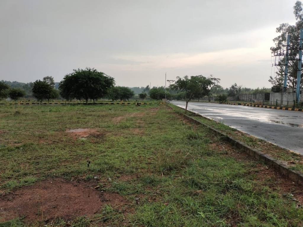 wood ridge pride Plot