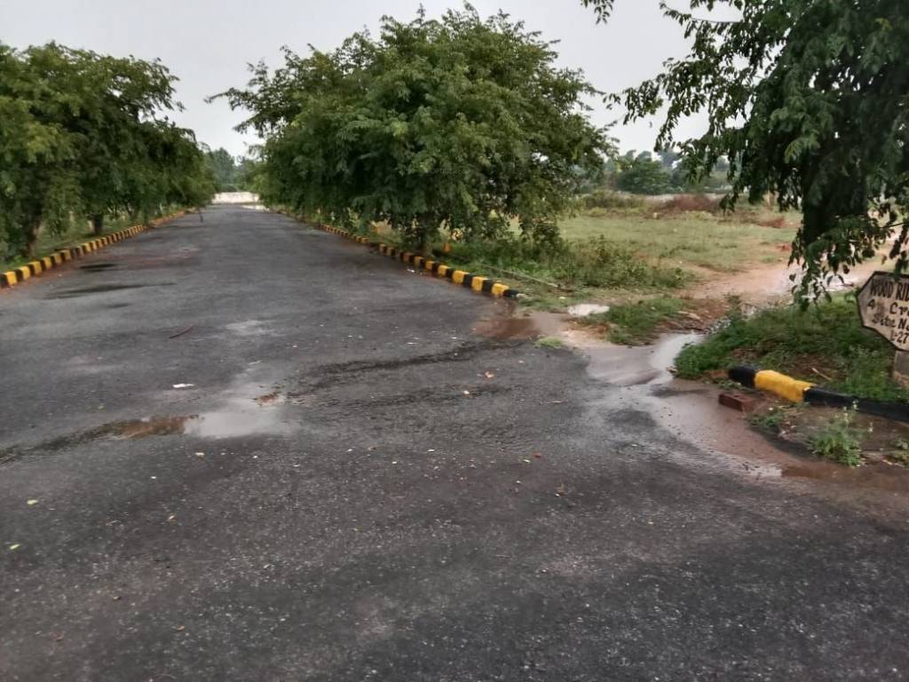 wood ridge pride Plot