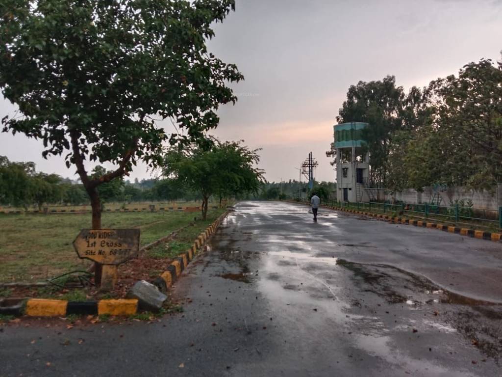 wood ridge pride Plot