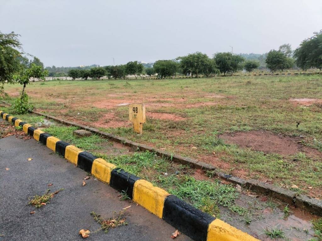 wood ridge pride Plot