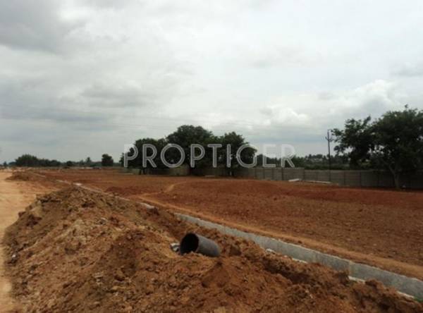 Shabu developers Mount Zoe