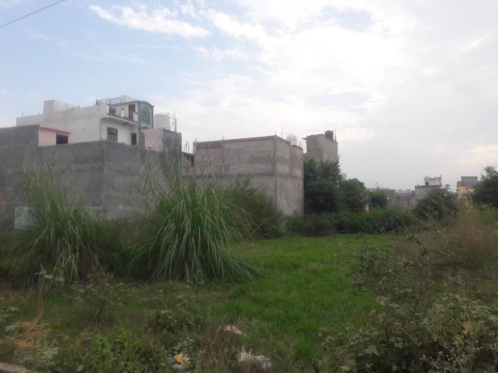  green enclave Others