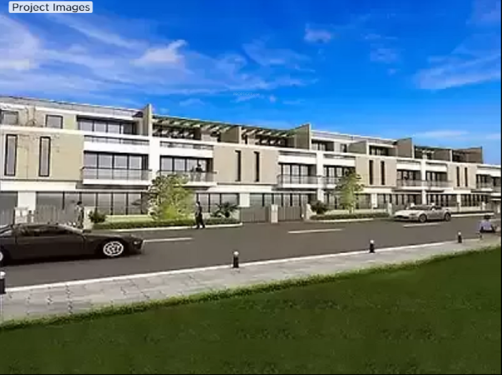 Images for Project