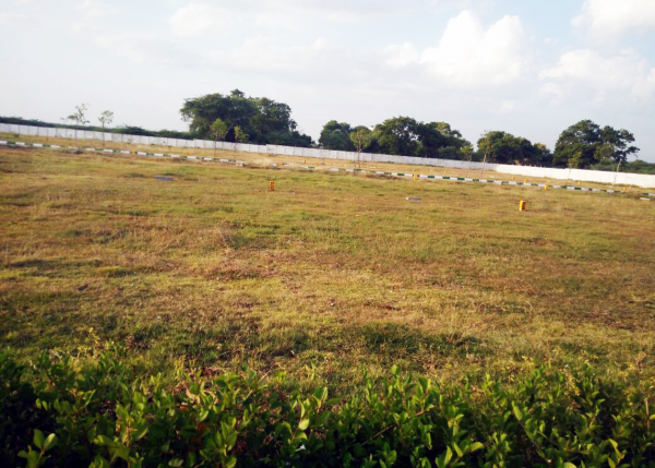 Images for Main Other of Mahidhara Delight