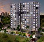 Images for Elevation of Millennium Divine