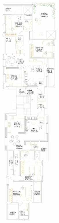 Images for Cluster Plan of Phinix Caviana