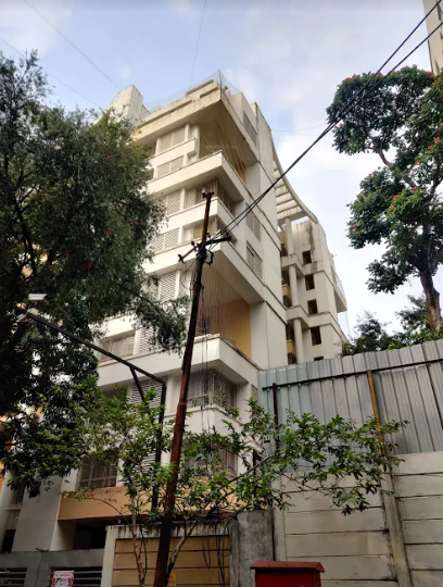  silver leaf Elevation