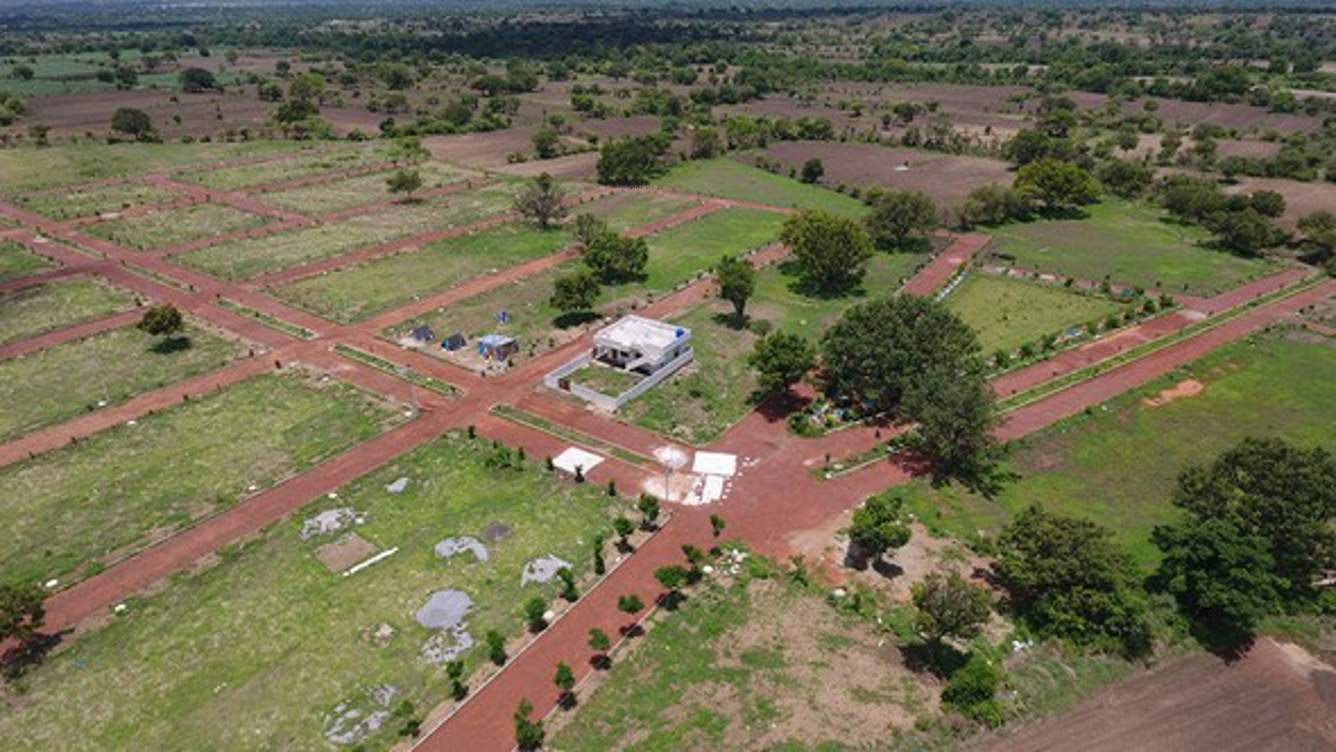  haritha vanam Images for Main Other of Green Haritha Vanam