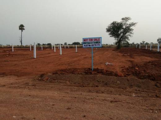 Images for Elevation of YBR Aapt Park Images for Elevation of YBR Aapt Park