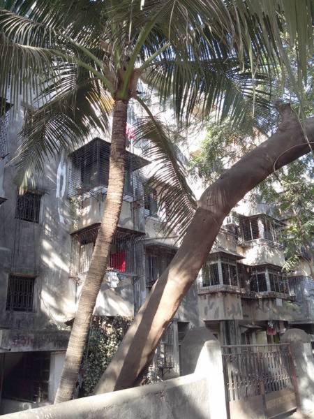 Images for Elevation of Reputed Isha Krupa Apartment