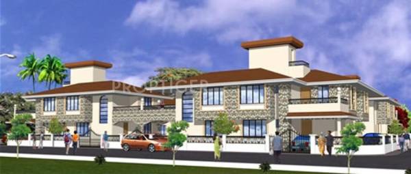 Images for Elevation of Phinix Tulips