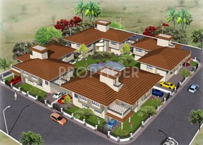 Images for Elevation of Phinix Tulips