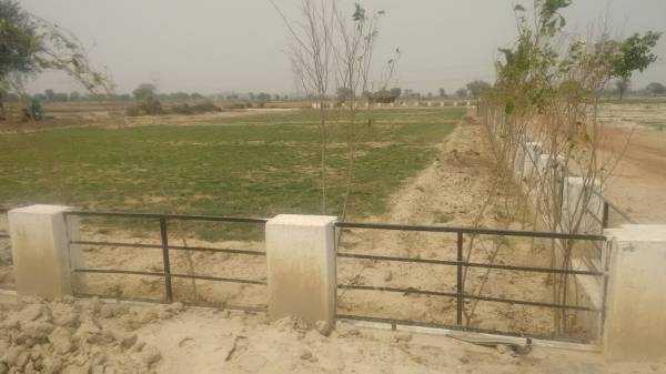 Elevation shri-radharani-township-phase-1 Elevation