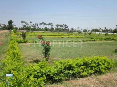 Images for Elevation of Propshell Opulent Gardens and Cabana Images for Elevation of Propshell Opulent Gardens and Cabana