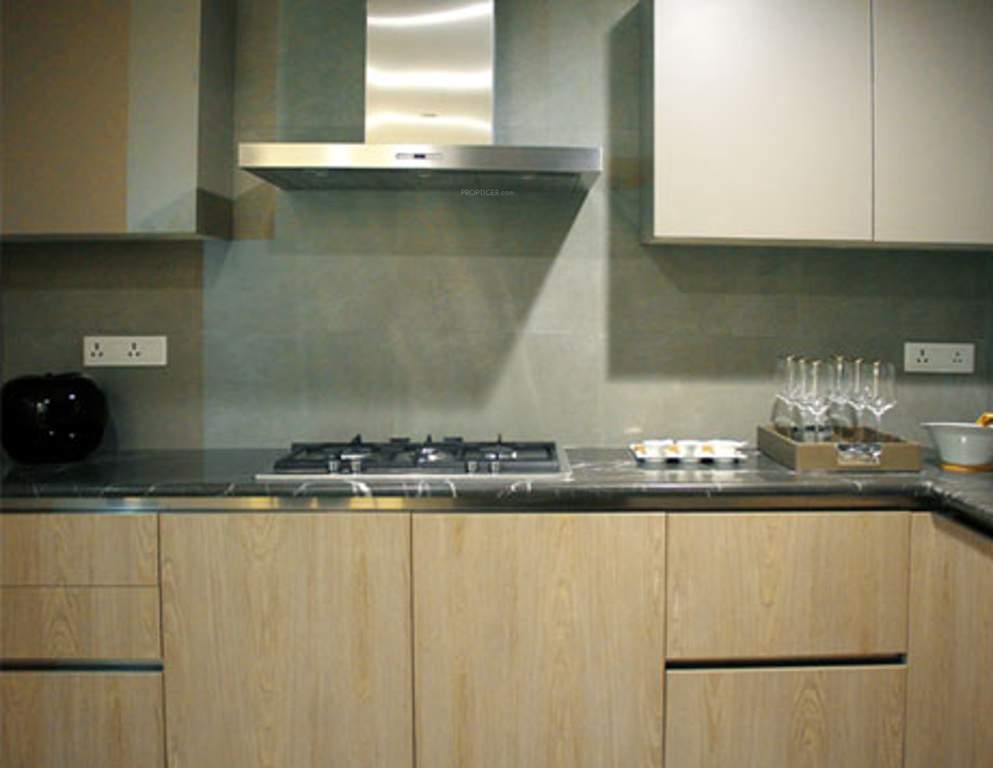 one Images for Main Other of Signature One